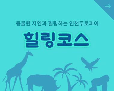 힐링코스