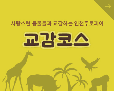 교감코스