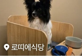 리뷰1