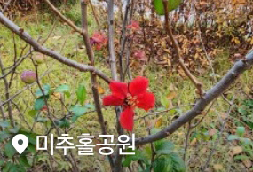리뷰1
